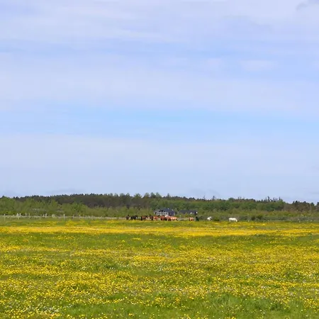 Auti - 2-3km From The Sea By Interhome Appartement