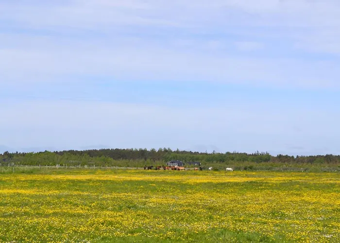 Auti - 2-3km From The Sea By Interhome Lejlighed